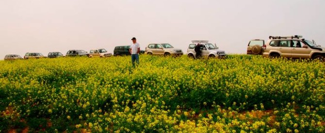 BeitJubrin4x4_050310_7-88