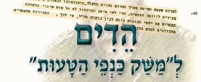 הדים למשק כנפי הטעות - אבירם ברקאי